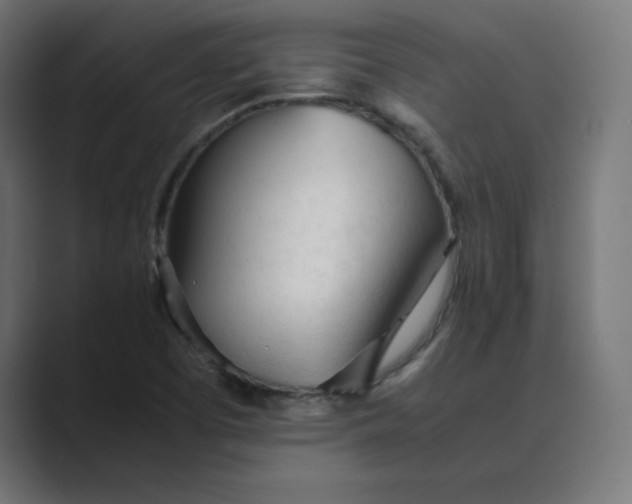 X0000089361457200706291031