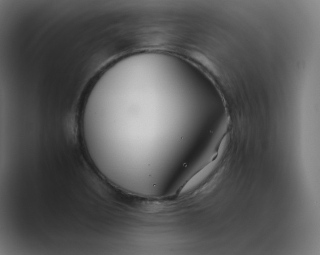 X0000089361458200706291031