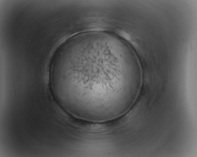 X0000089361459200706291031
