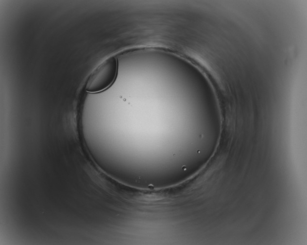 X0000089361460200706291031