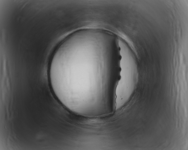 X0000089361464200706291031