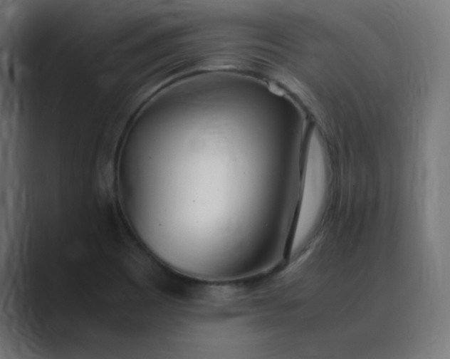 X0000089361465200706291031