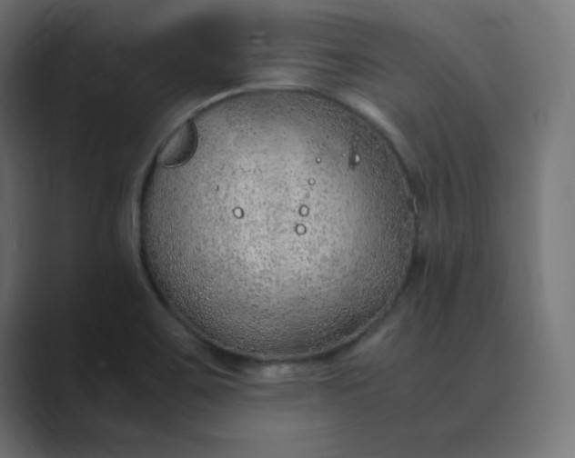 X0000089361467200706291031