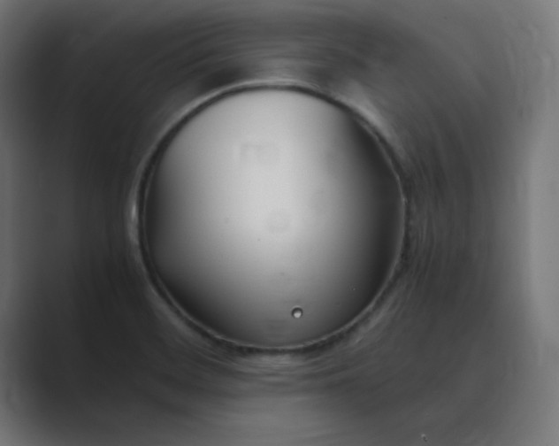 X0000089361468200706291031