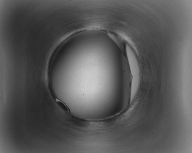 X0000089361469200706291031