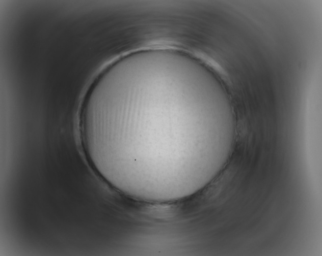 X0000089361470200706291031