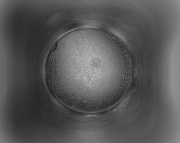 X0000089361471200706291031