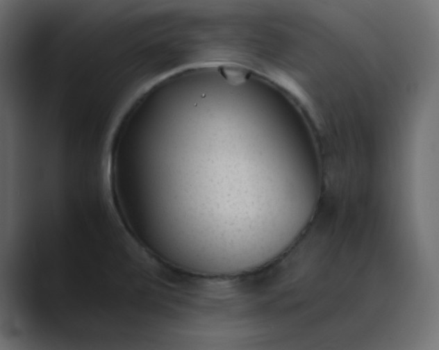 X0000089361472200706291031