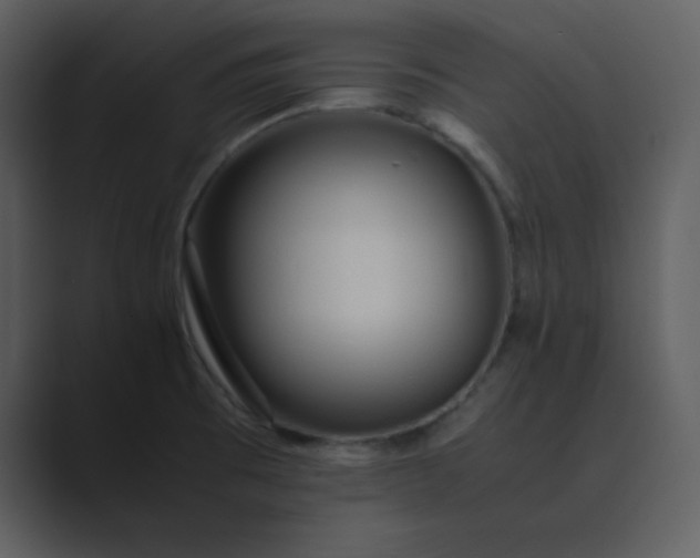 X0000089361473200706291031