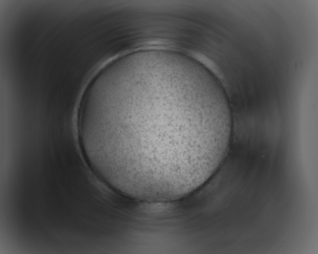 X0000089361474200706291031