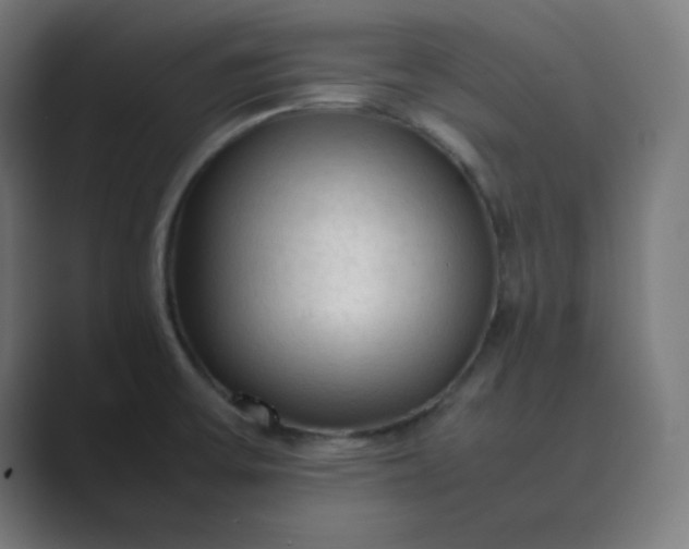 X0000089361475200706291031