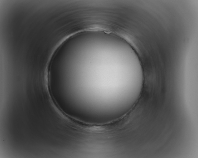 X0000089361476200706291031