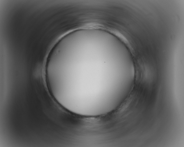 X0000089361478200706291031