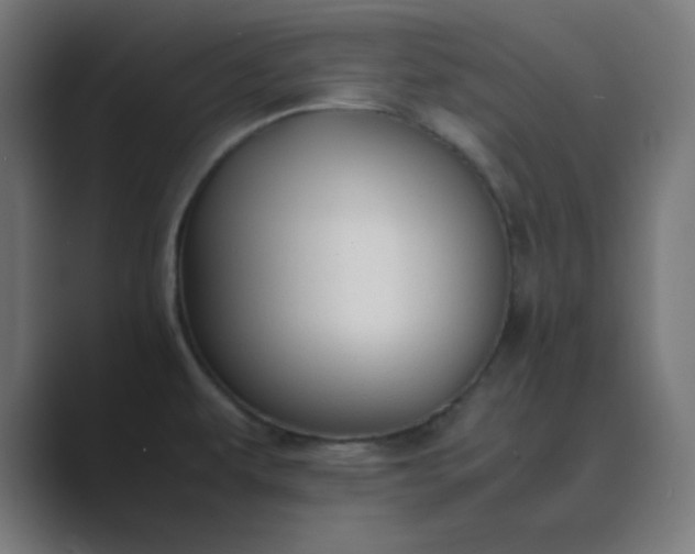 X0000089361479200706291031