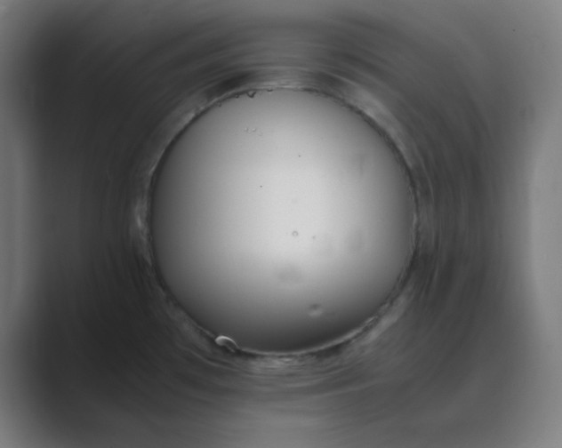 X0000089361481200706291031