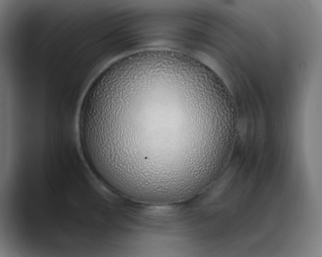 X0000089361482200706291031