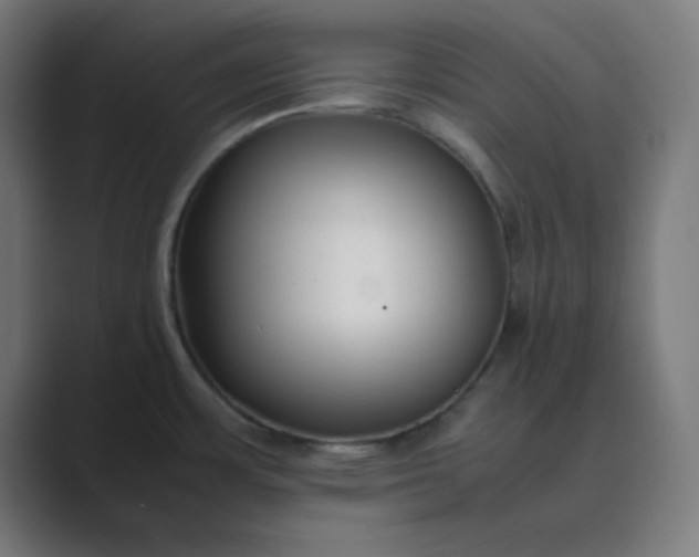 X0000089361483200706291031