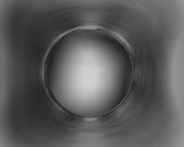 X0000089361484200706291031