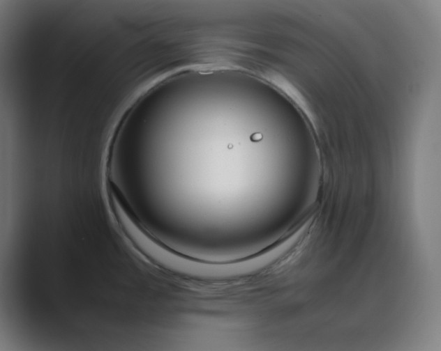 X0000089361485200706291031