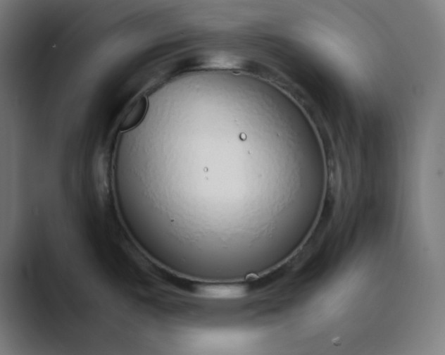 X0000089361487200706291031