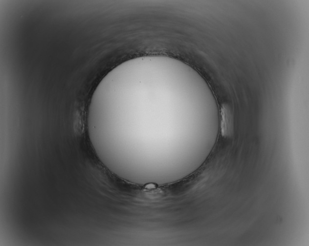 X0000089361491200706291031