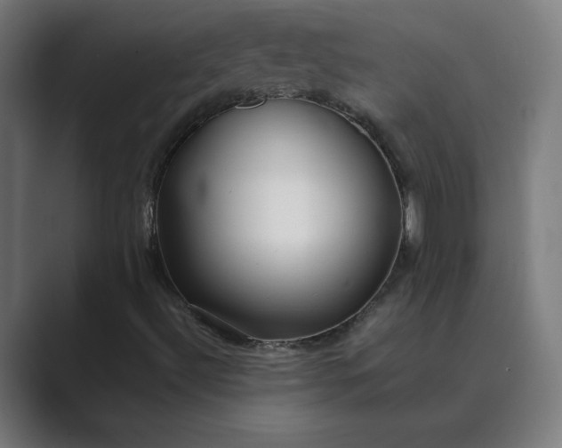 X0000089361492200706291031