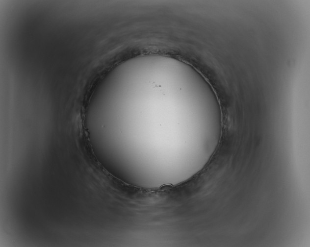 X0000089361493200706291031