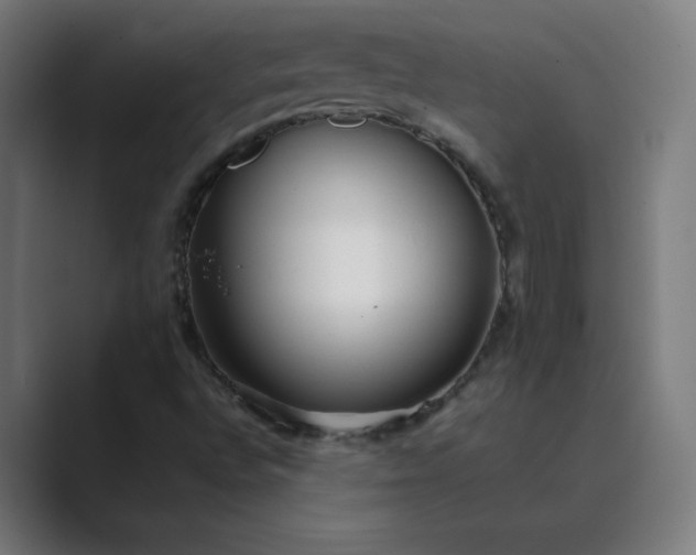 X0000089361496200706291031