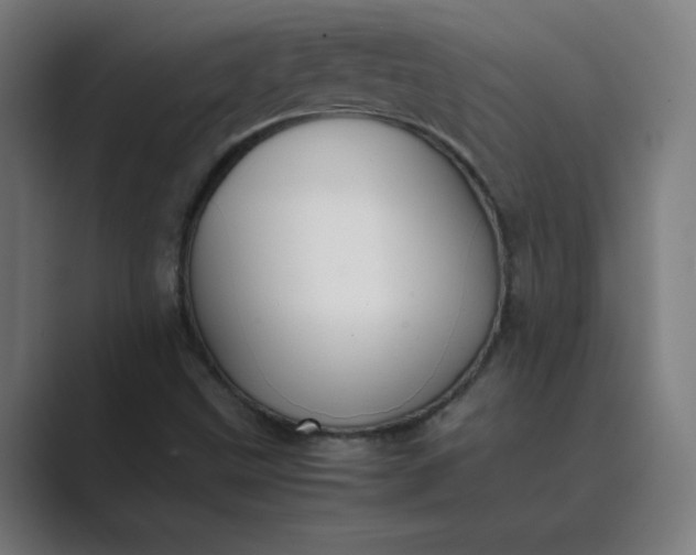X0000089361499200706291031