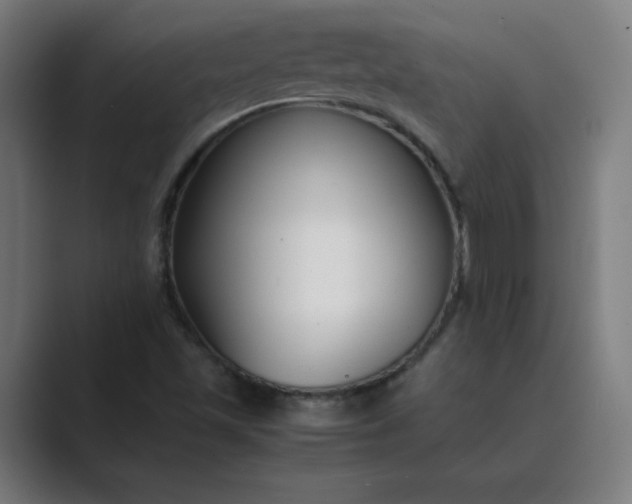X0000089361501200706291031