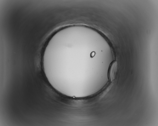 X0000089361502200706291031