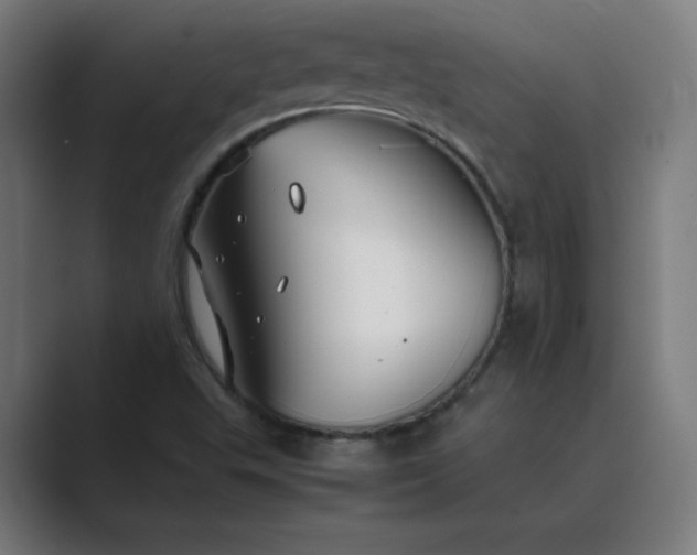 X0000089361503200706291031