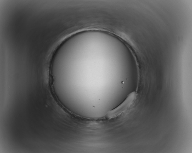 X0000089361504200706291031