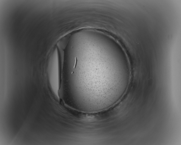 X0000089361505200706291031