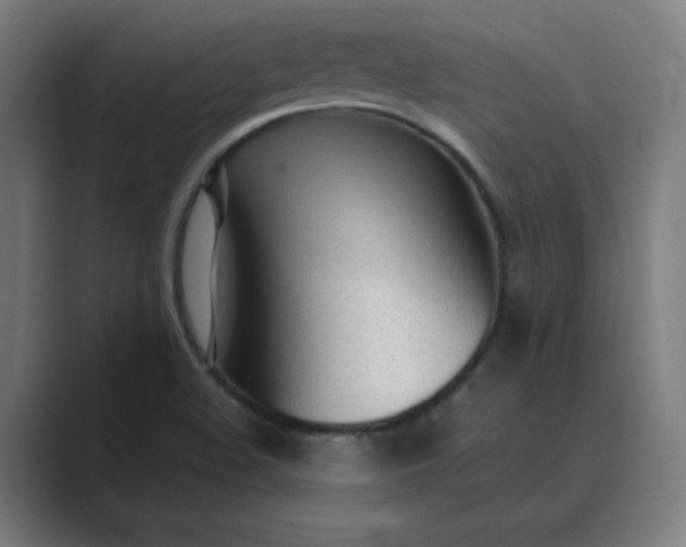 X0000089361508200706291031