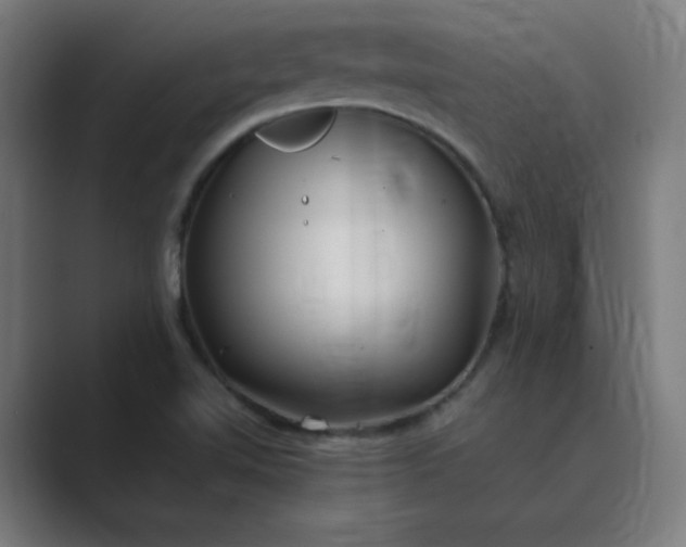 X0000089361510200706291031