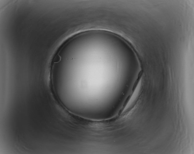 X0000089361511200706291031