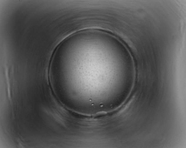 X0000089361513200706291031