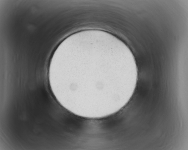 X0000089361514200706291031