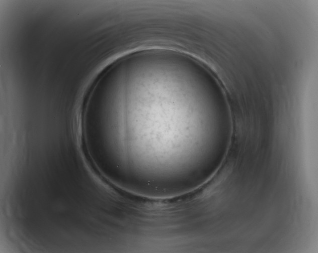 X0000089361515200706291031