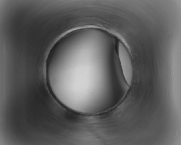X0000089361516200706291031