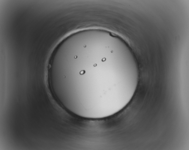 X0000089361518200706291031