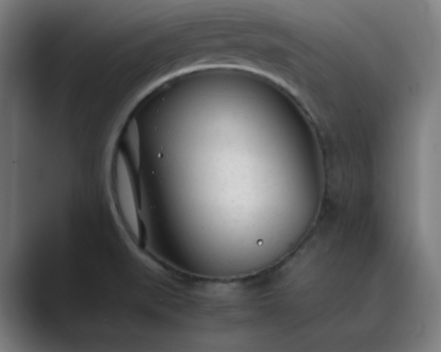 X0000089361519200706291031