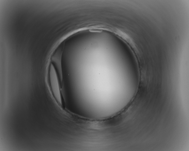 X0000089361520200706291031