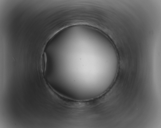 X0000089361521200706291031