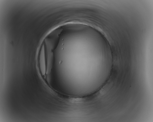 X0000089361522200706291031