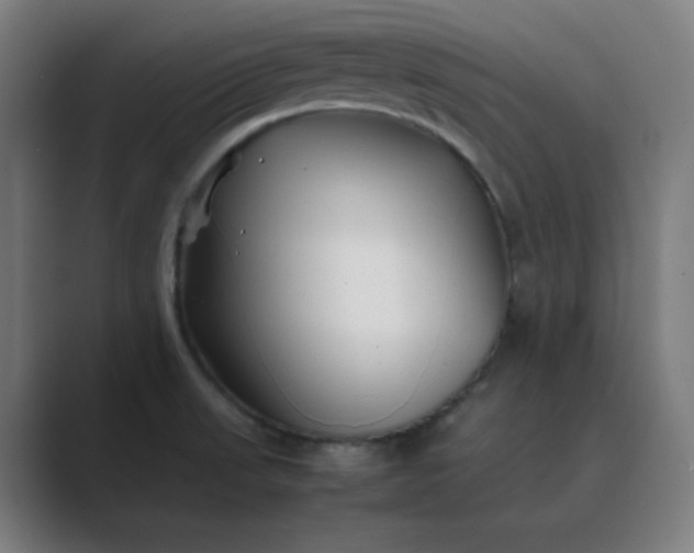 X0000089361523200706291031
