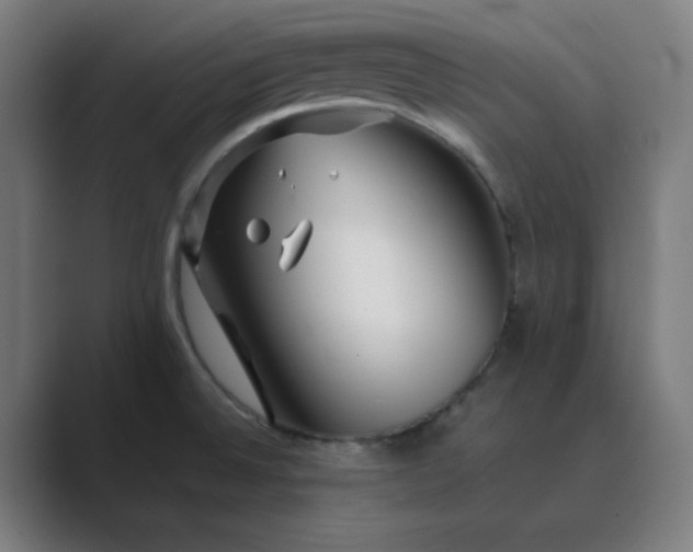 X0000089361524200706291031