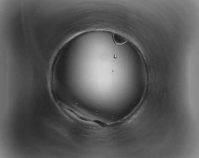 X0000089361525200706291031