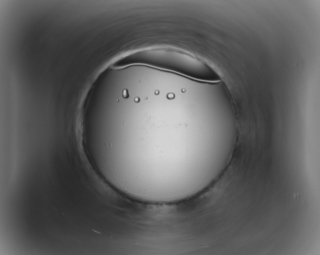 X0000089361526200706291031